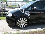 IMG_2554