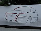 IMG_3390