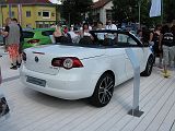 IMG_3695