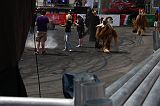 IMG_2107